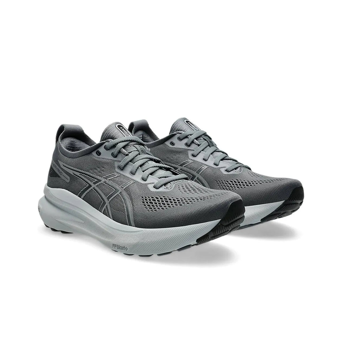 Asics Gel-Kayano 31 1011B867-020