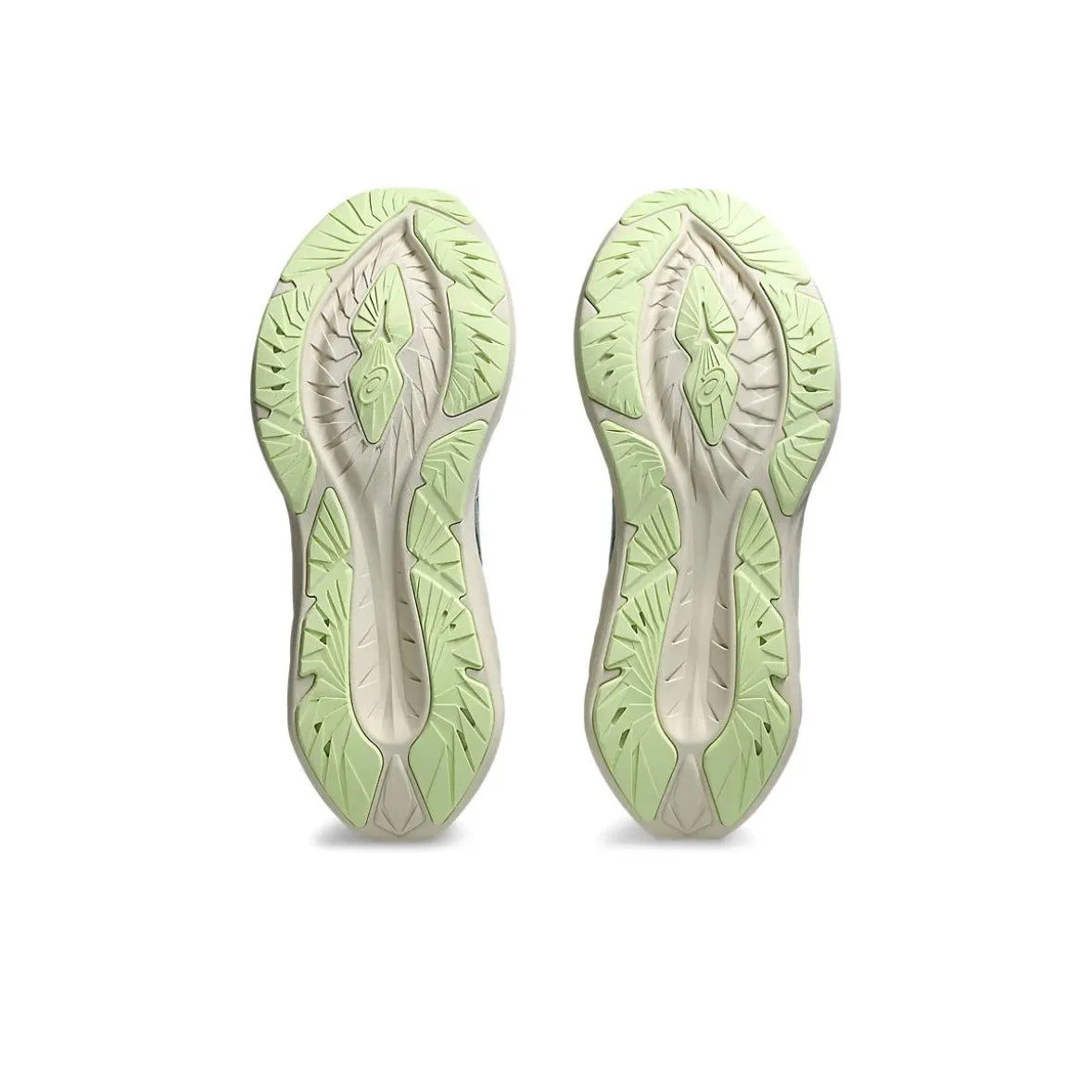 Asics Novablast 4 1011B693-301