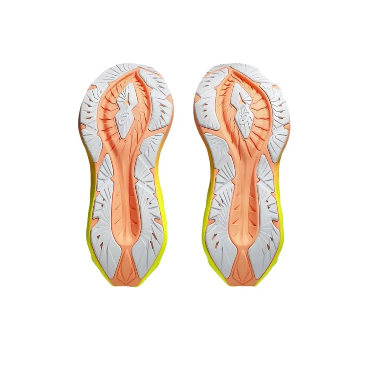 Asics Novablast 4 1011B955-750