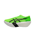 ASICS METASPEED RAY 1013A176-300