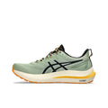 Asics GT-2000 12 1011B775-250