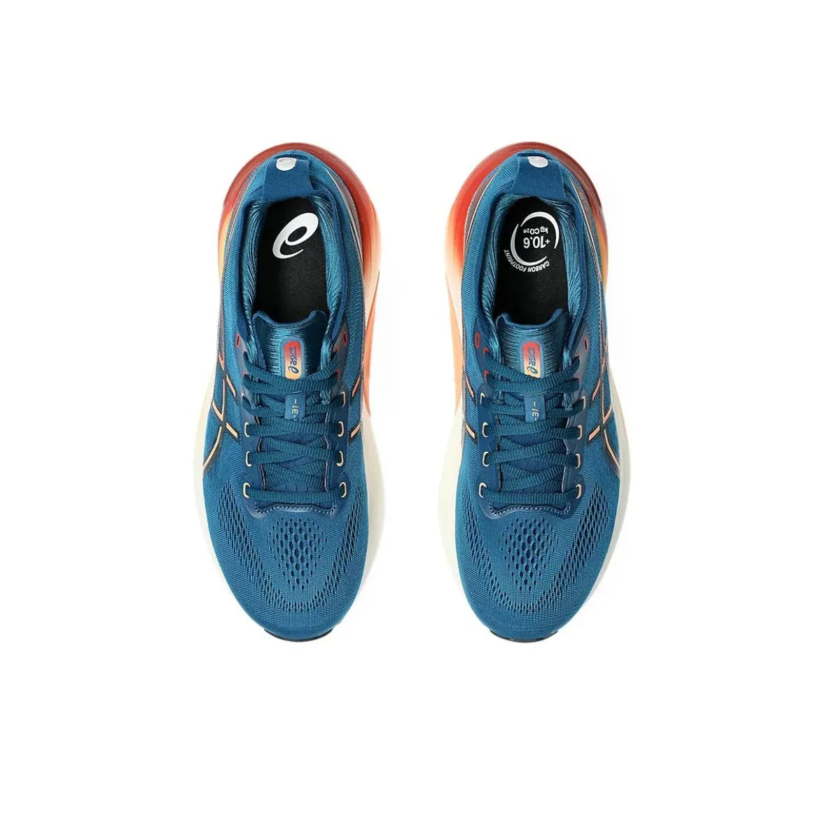 Asics Gel-Kayano 31 1011B867-402