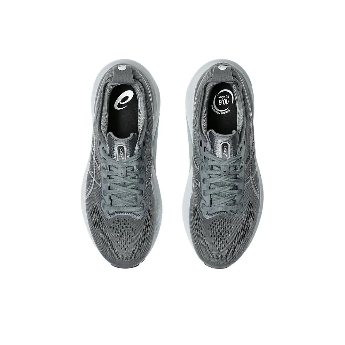 Asics Gel-Kayano 31 1011B867-020