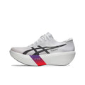 ASICS METASPEED RAY 1013A176-100