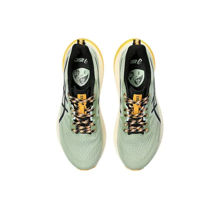 Asics GT-2000 12 1011B775-250